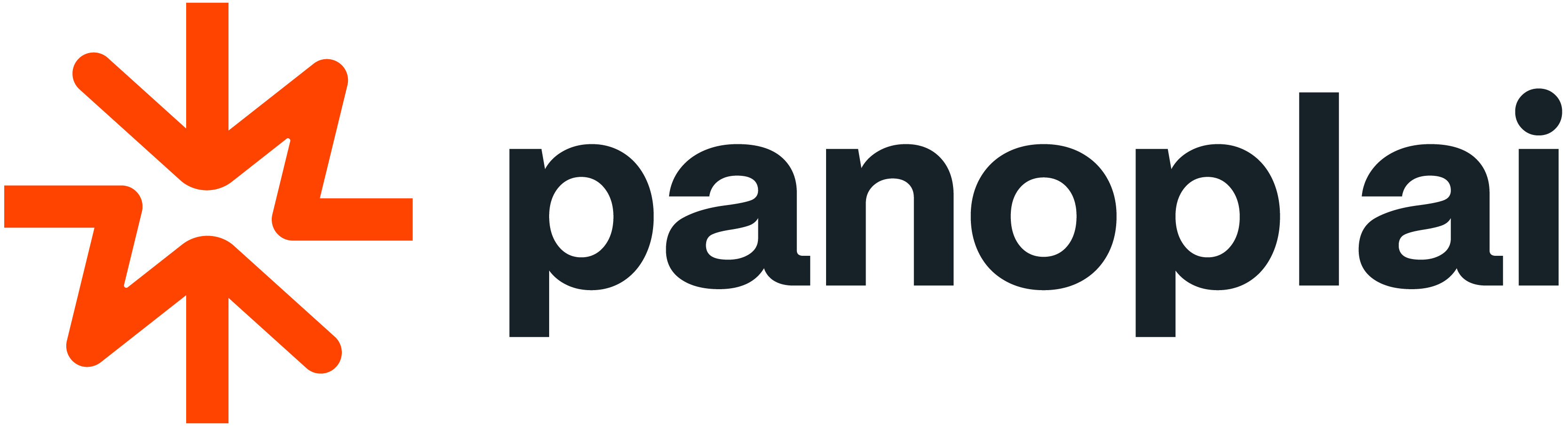 Panoplai_Logo_02-Apr-07-2025-07-37-18-8141-PM